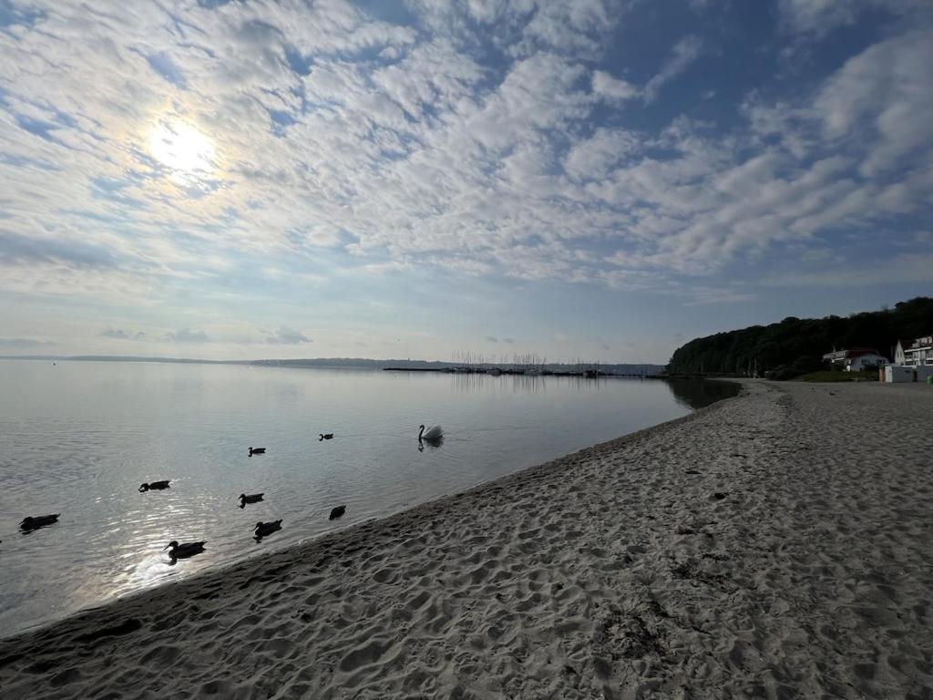 `Kapitänslounge` vollsanierte Fewo mit Blick auf die Flensburger Förde