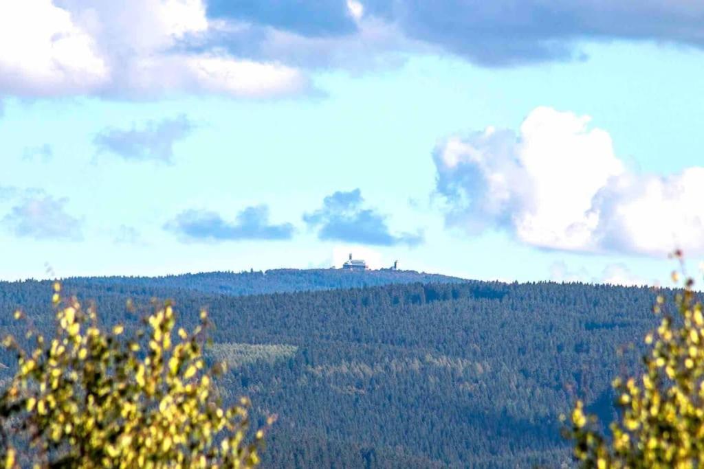 Apartment Bergliebe I Balkon I Aufzug I Stellplatz