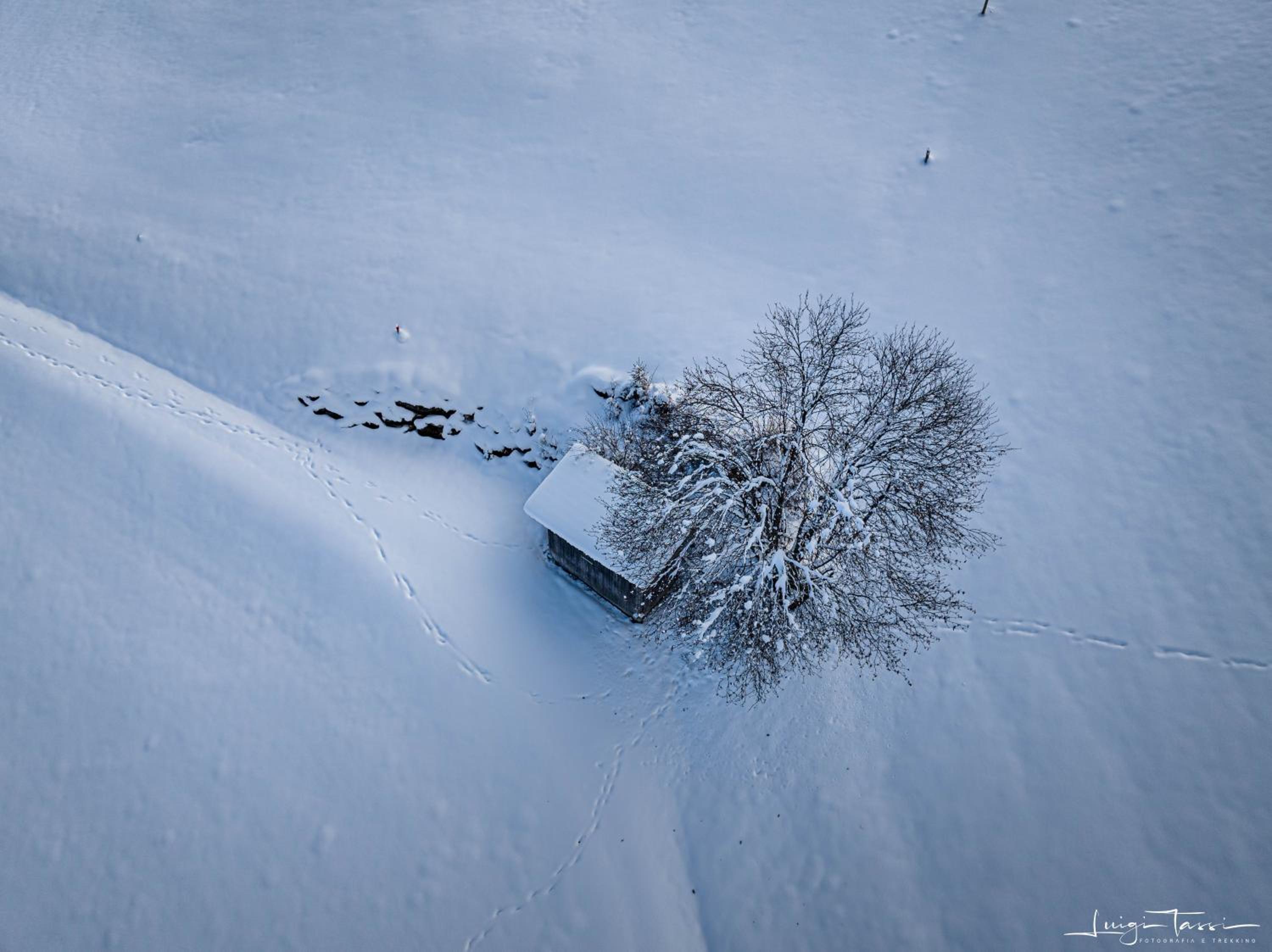 Haus Egger