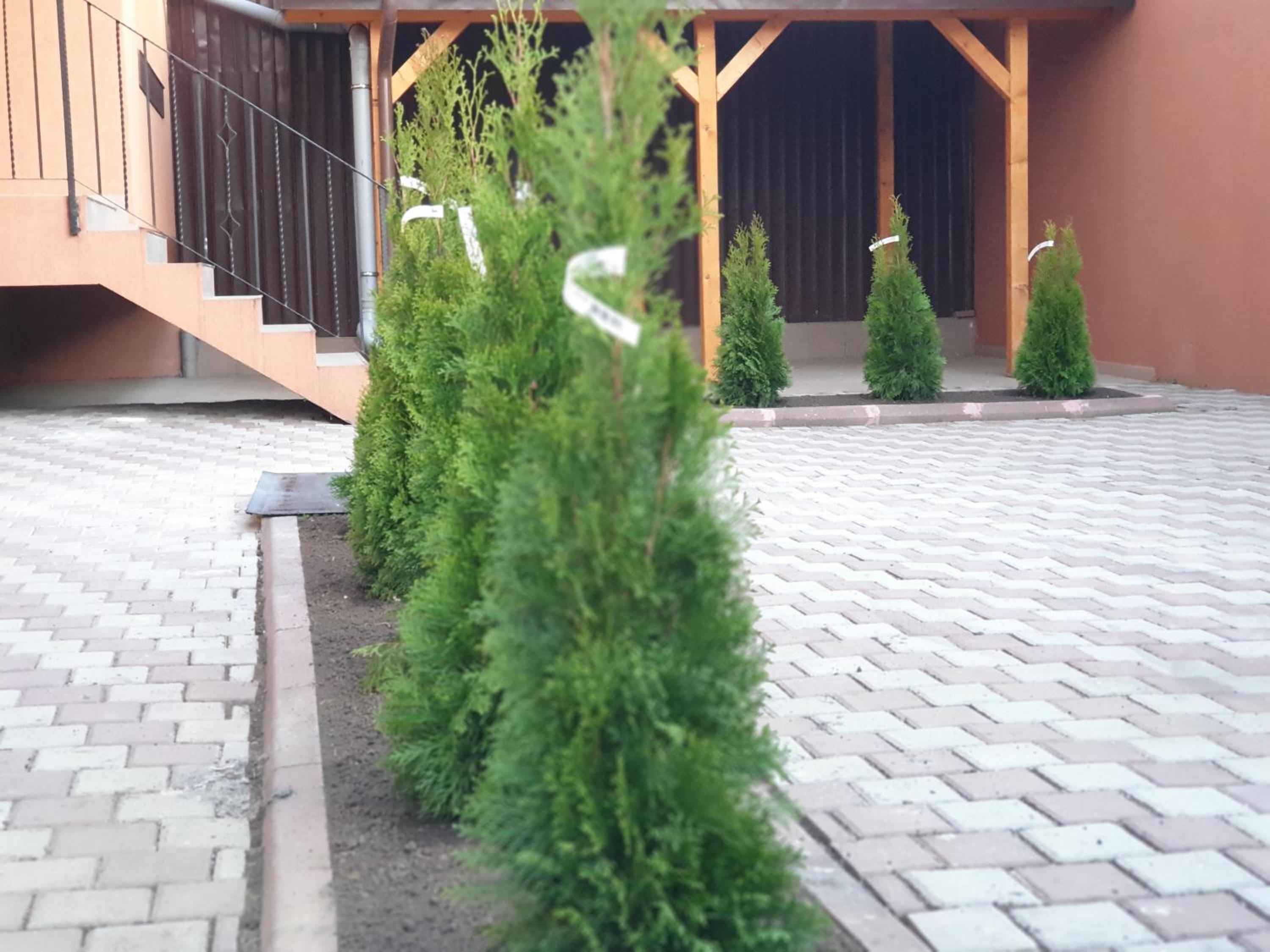 Photo 38