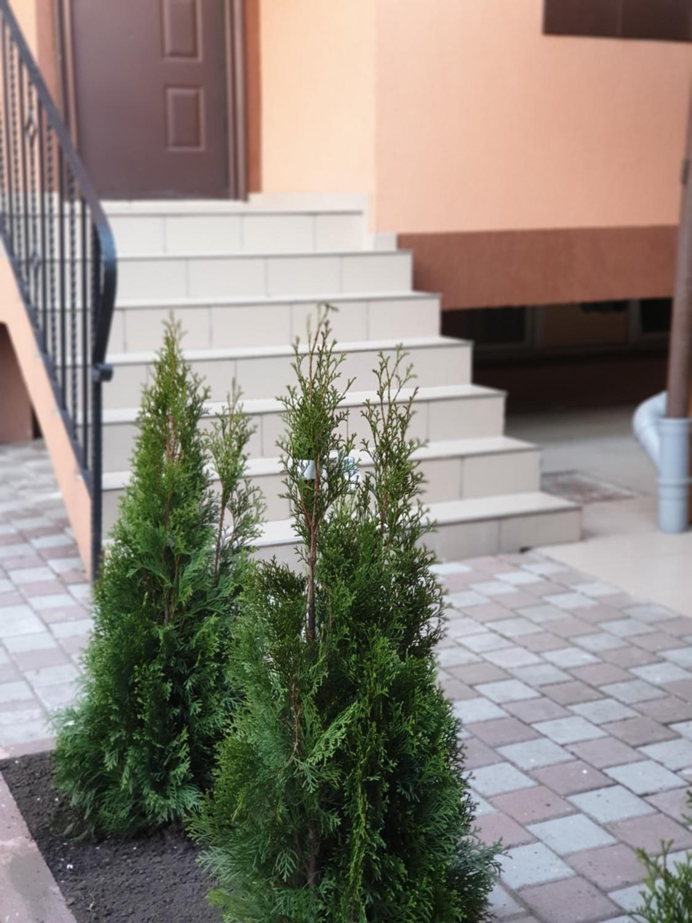 Photo 37