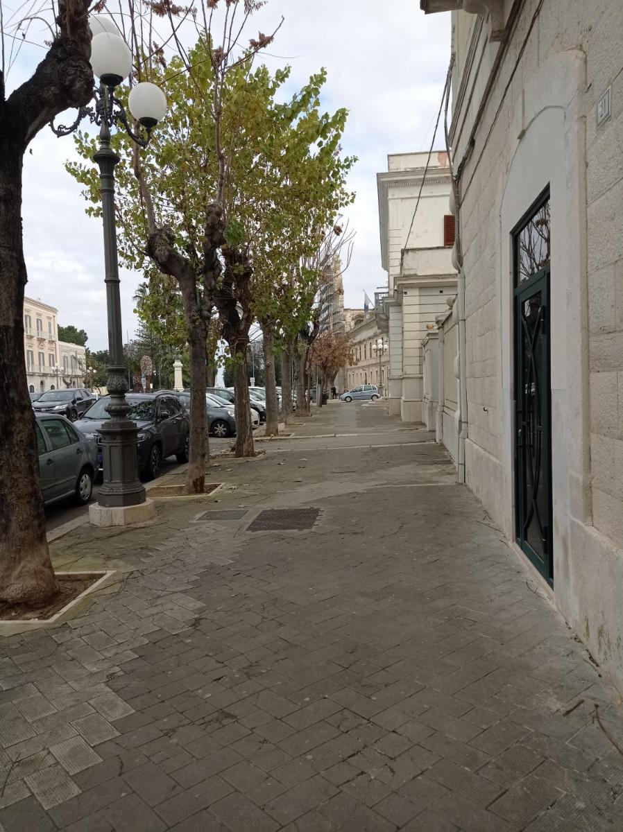 Suites Elifani