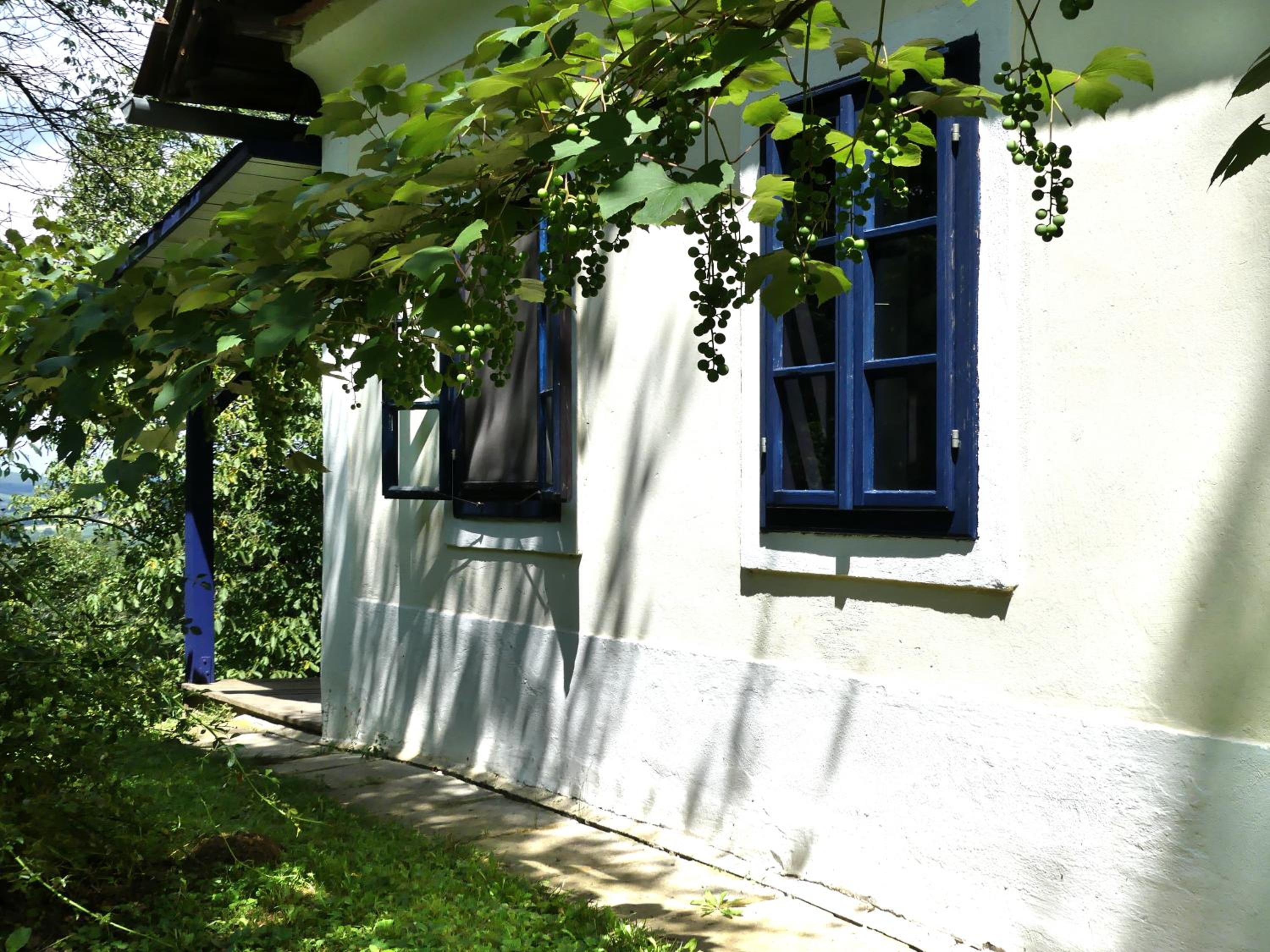Photo 24