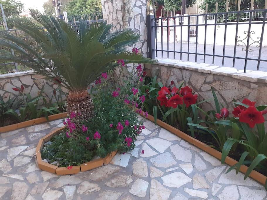Maria's house