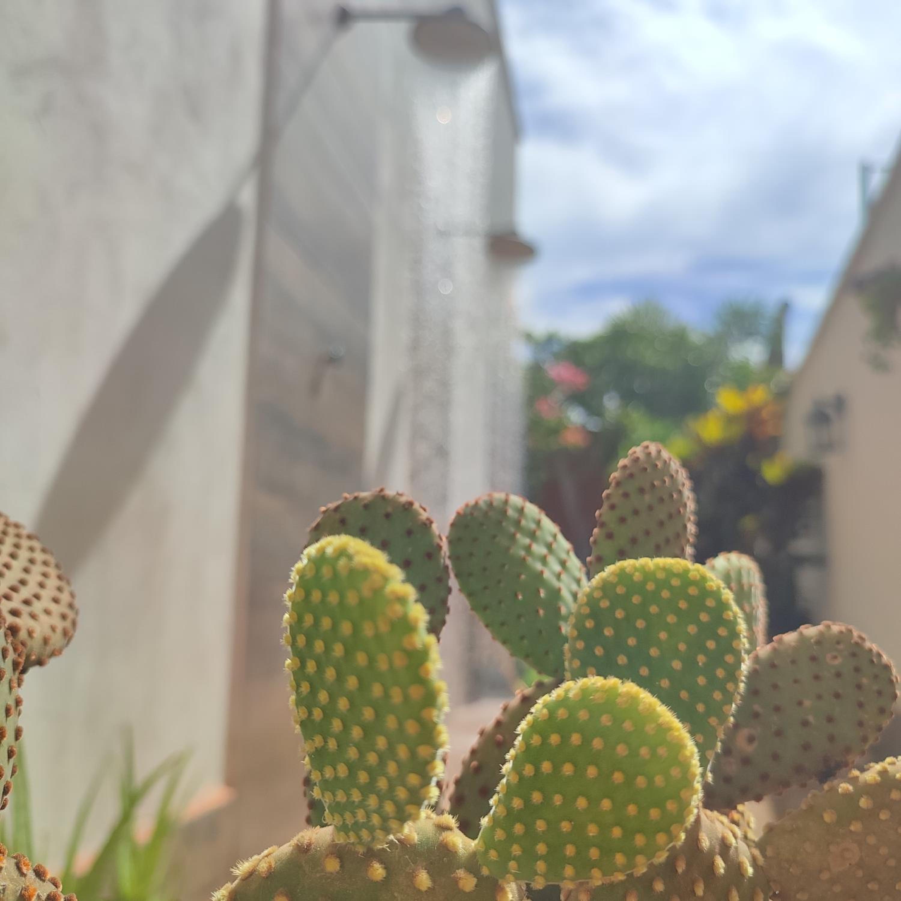 Suítes De Ventto Em Popa - São Miguel do Gostso
