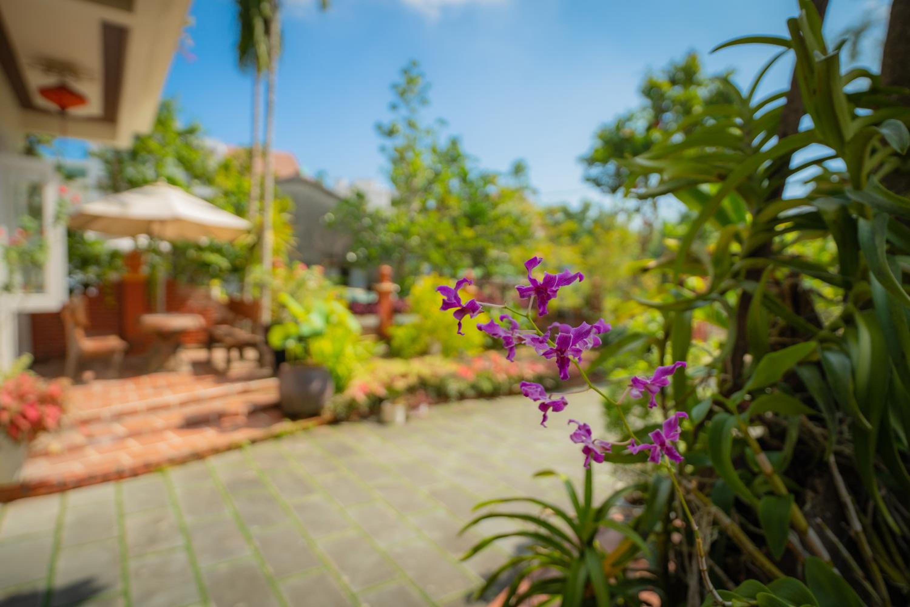 Strawberry Garden Homestay, Hoi An - 14