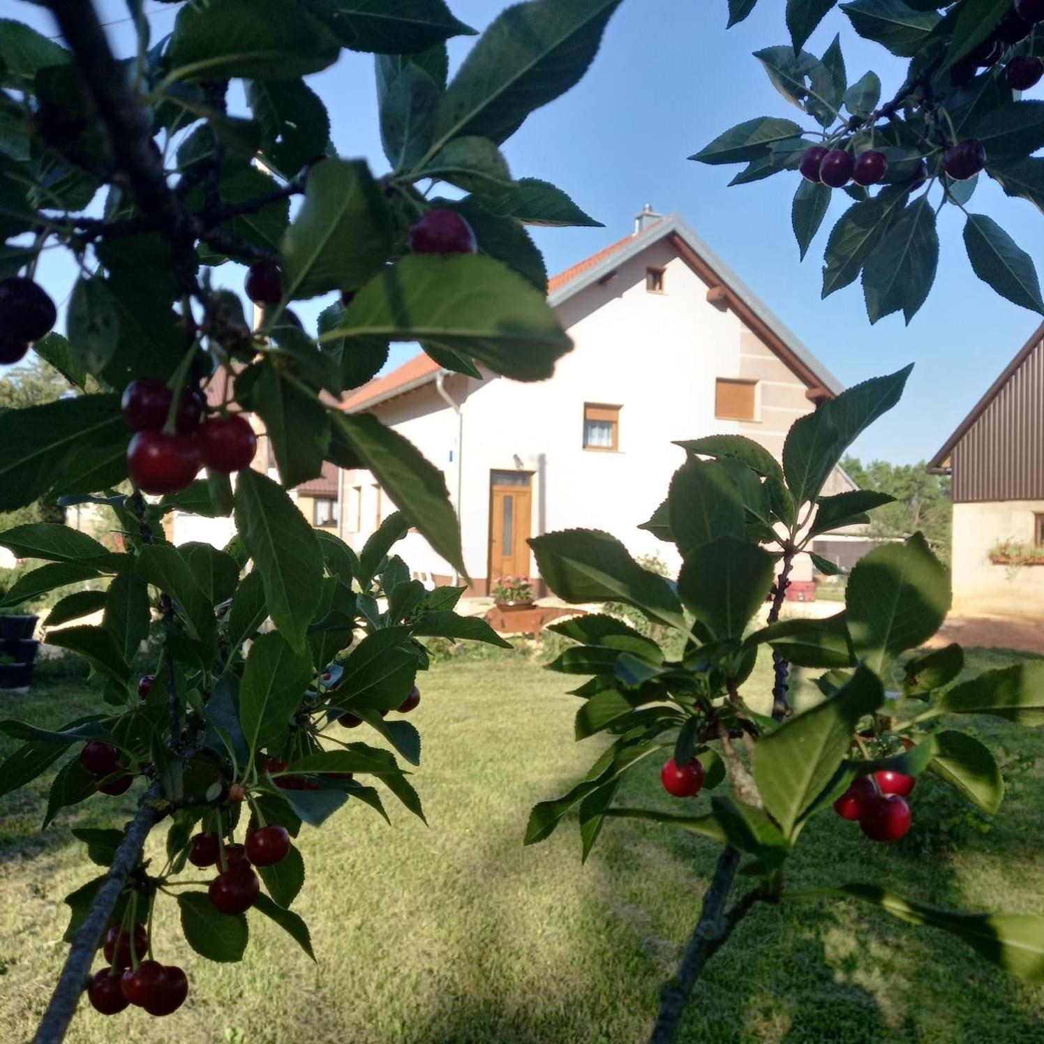Kuća za odmor Boki view 4