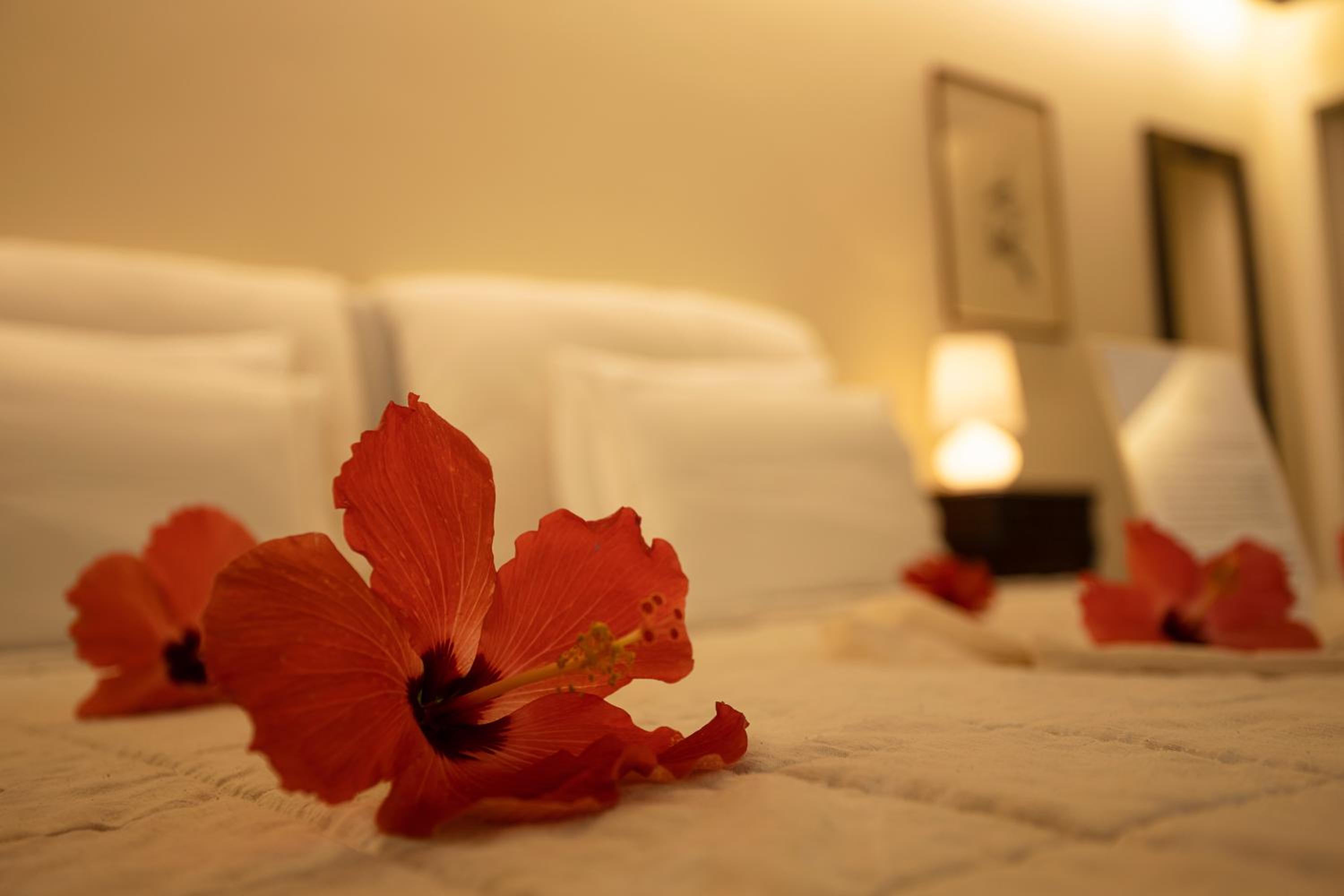 Beija Flor Exclusive Hotel & Spa