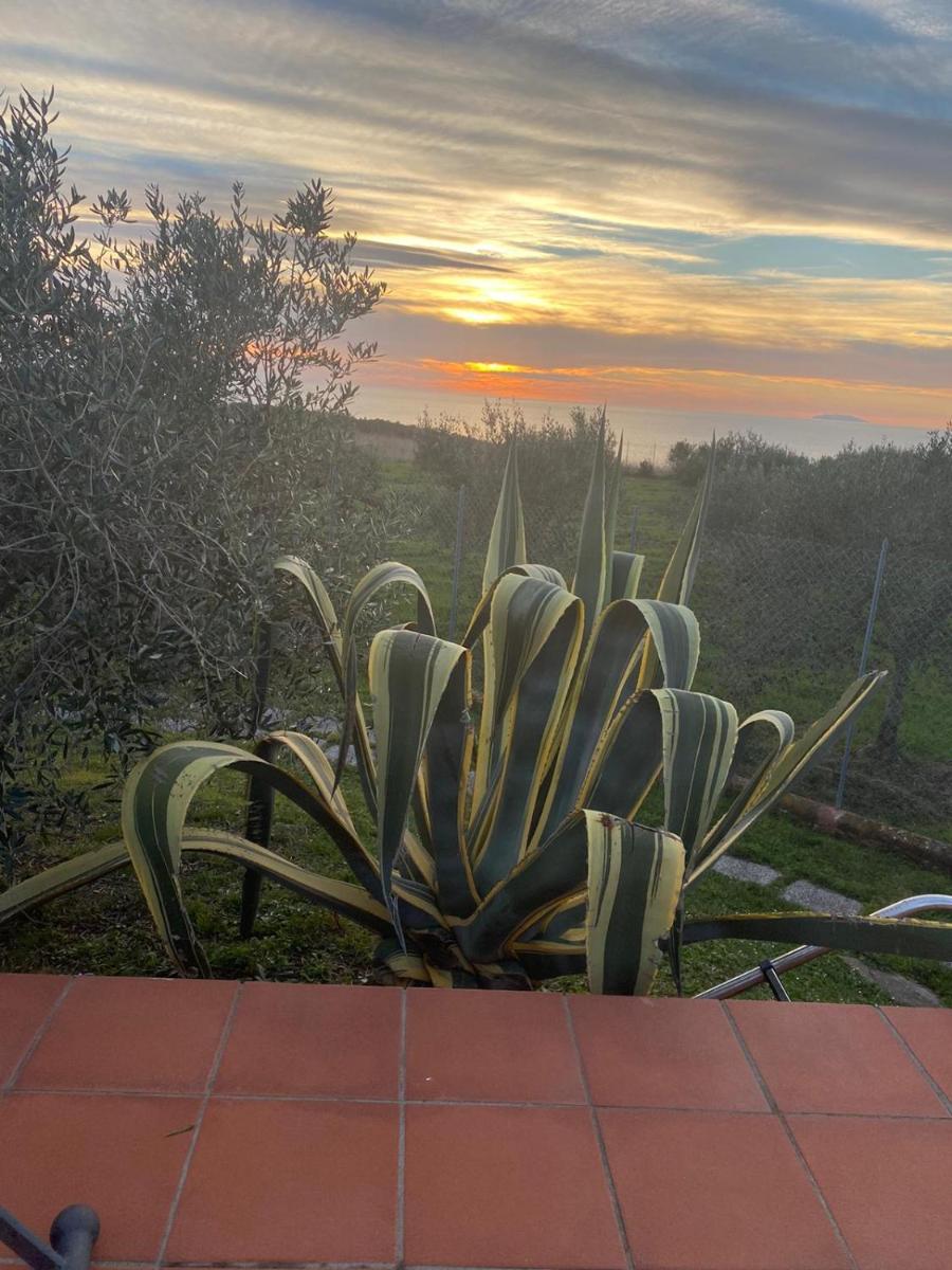 Sunset house view 2