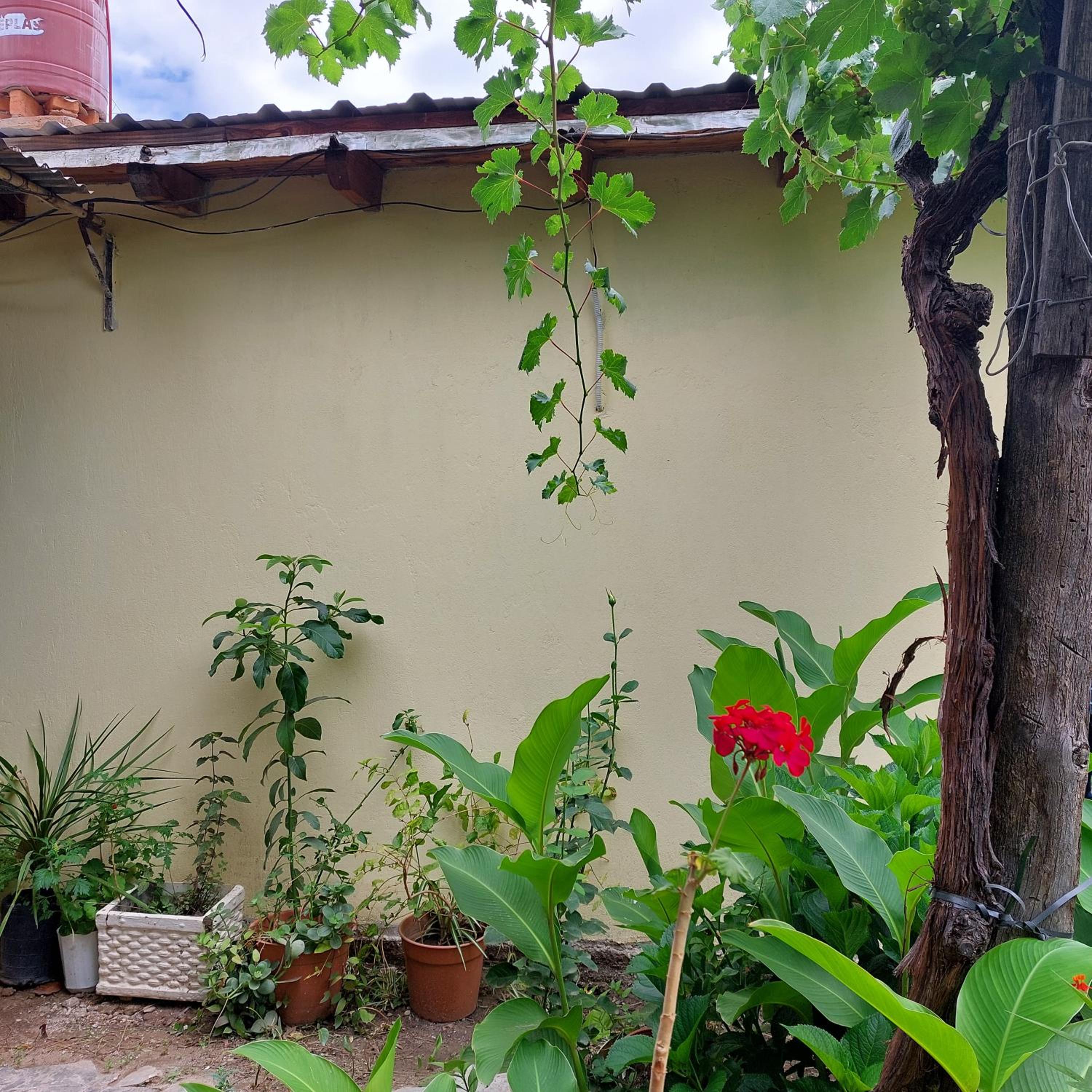 Hostal killari