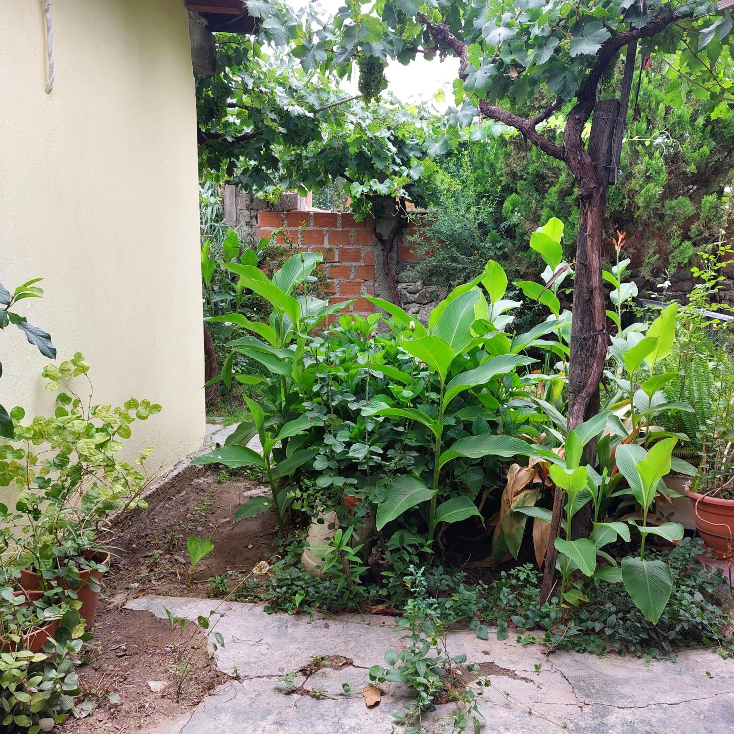 Hostal killari