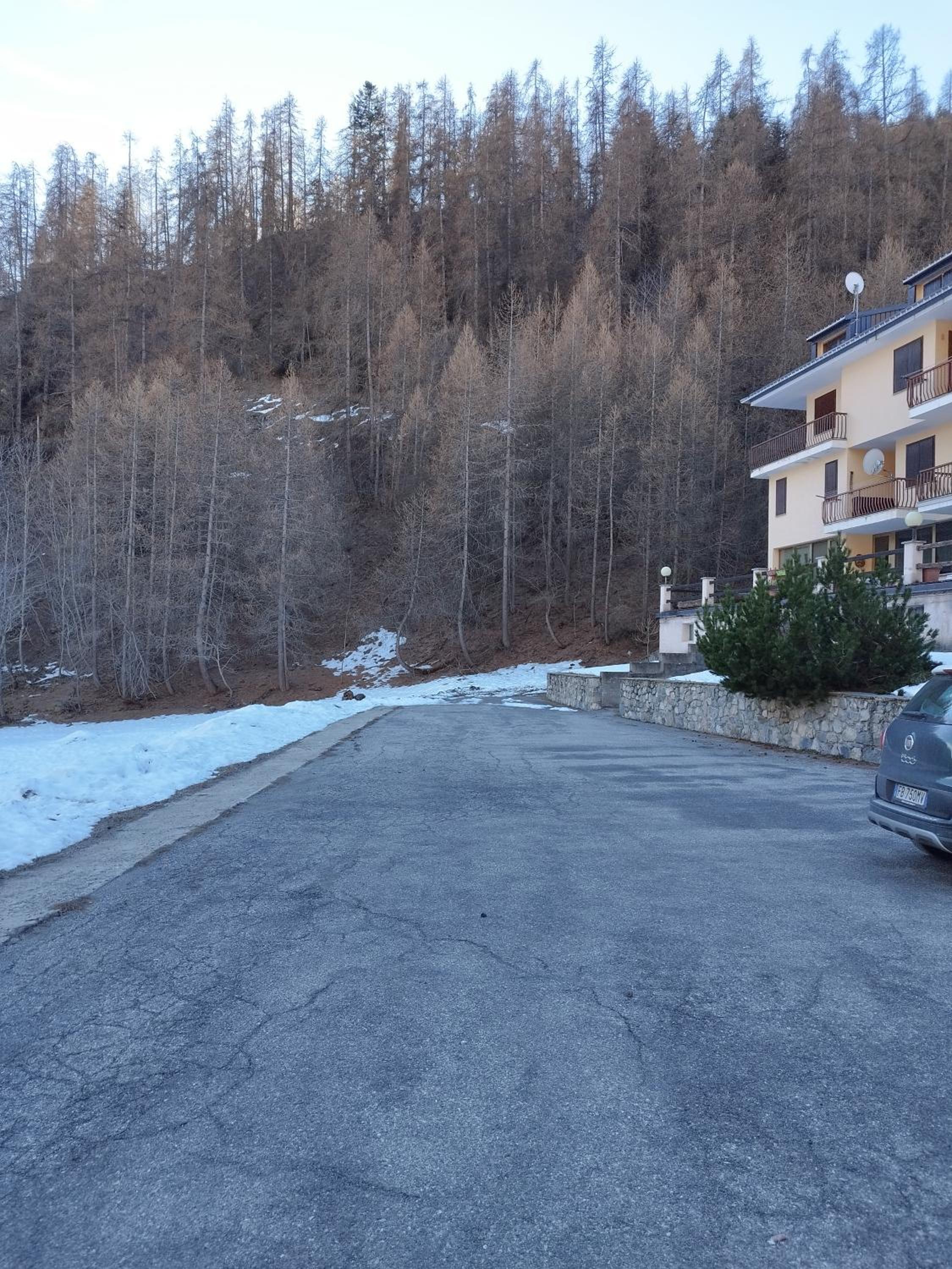 Appartamento Germano - Regina delle Alpi view 3