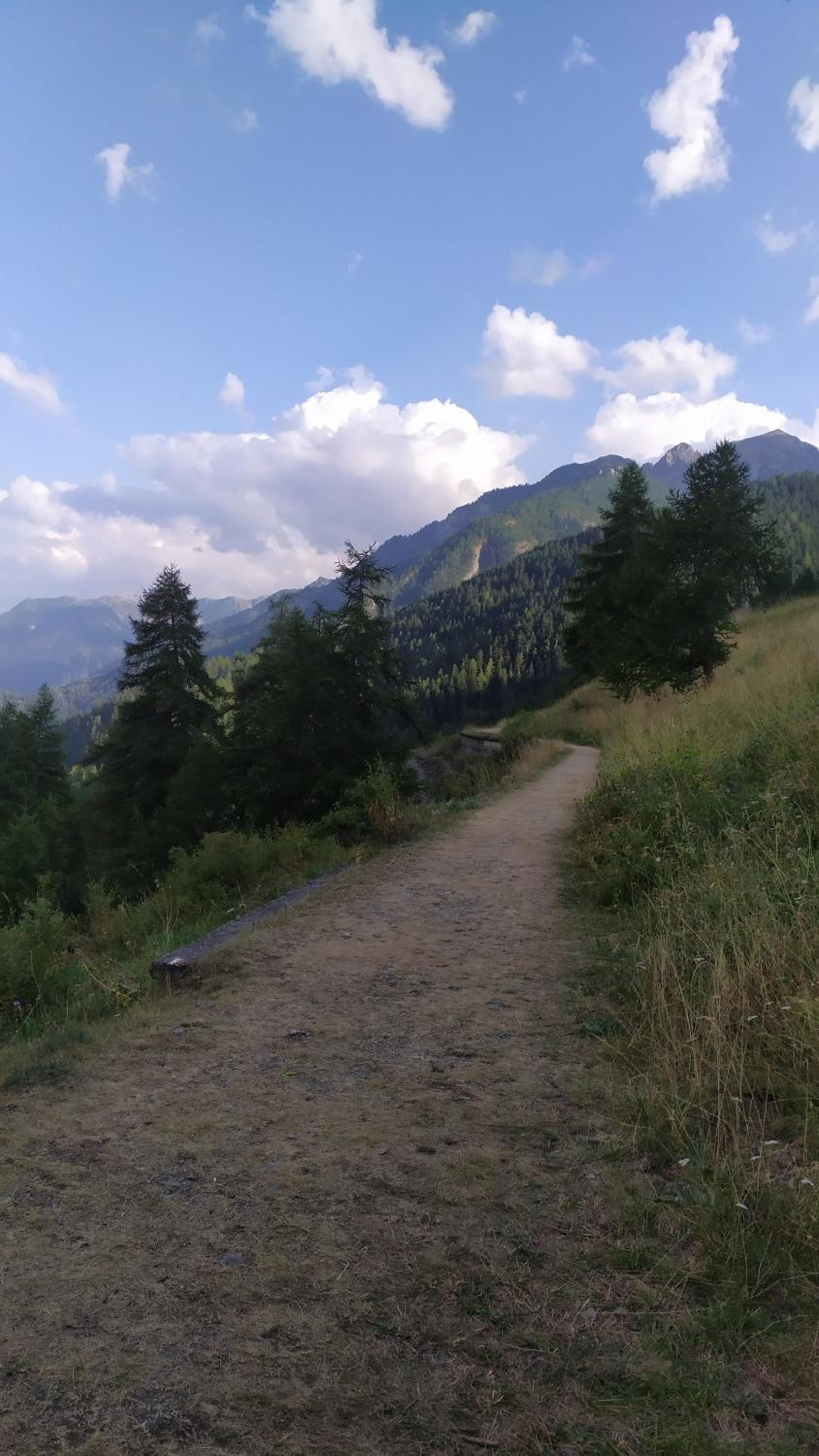 Photo 27