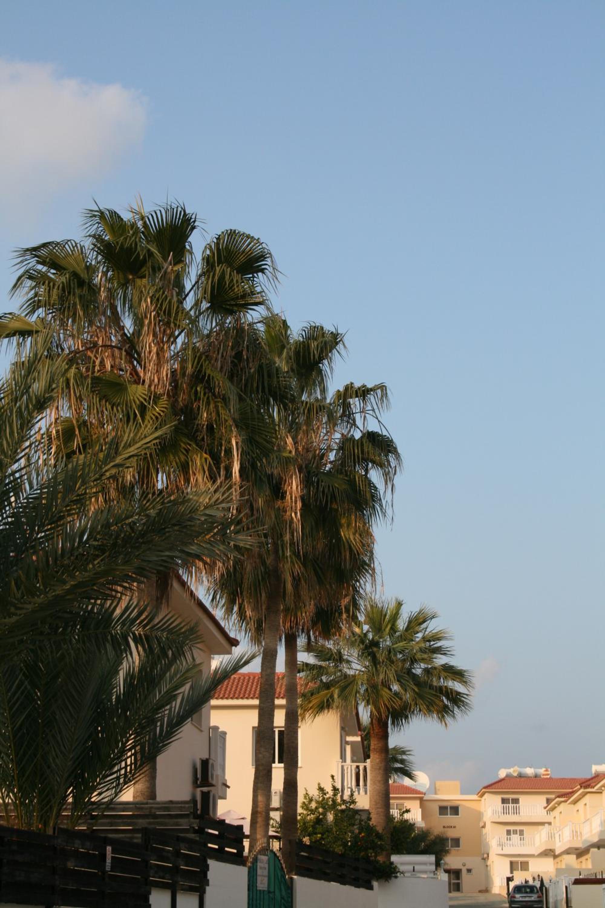 Photo 37