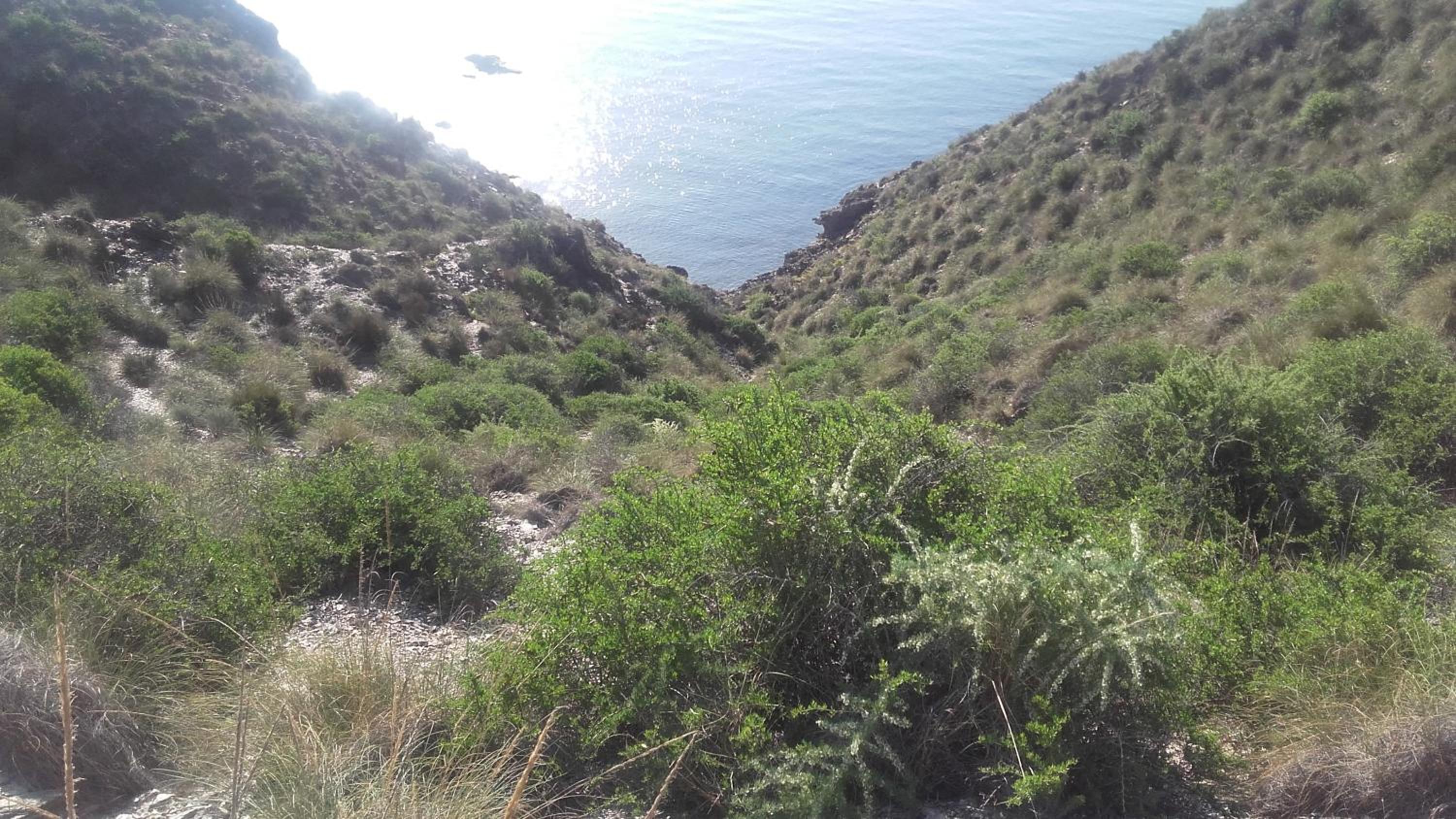 Appartement bord de mer-Aguilas