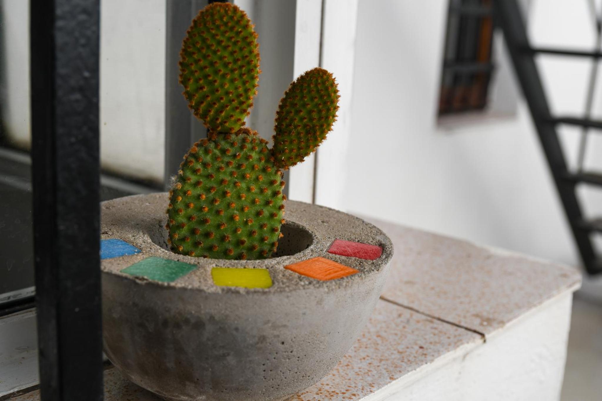 Casa Limón