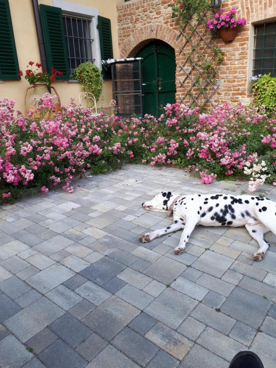 Photo 53