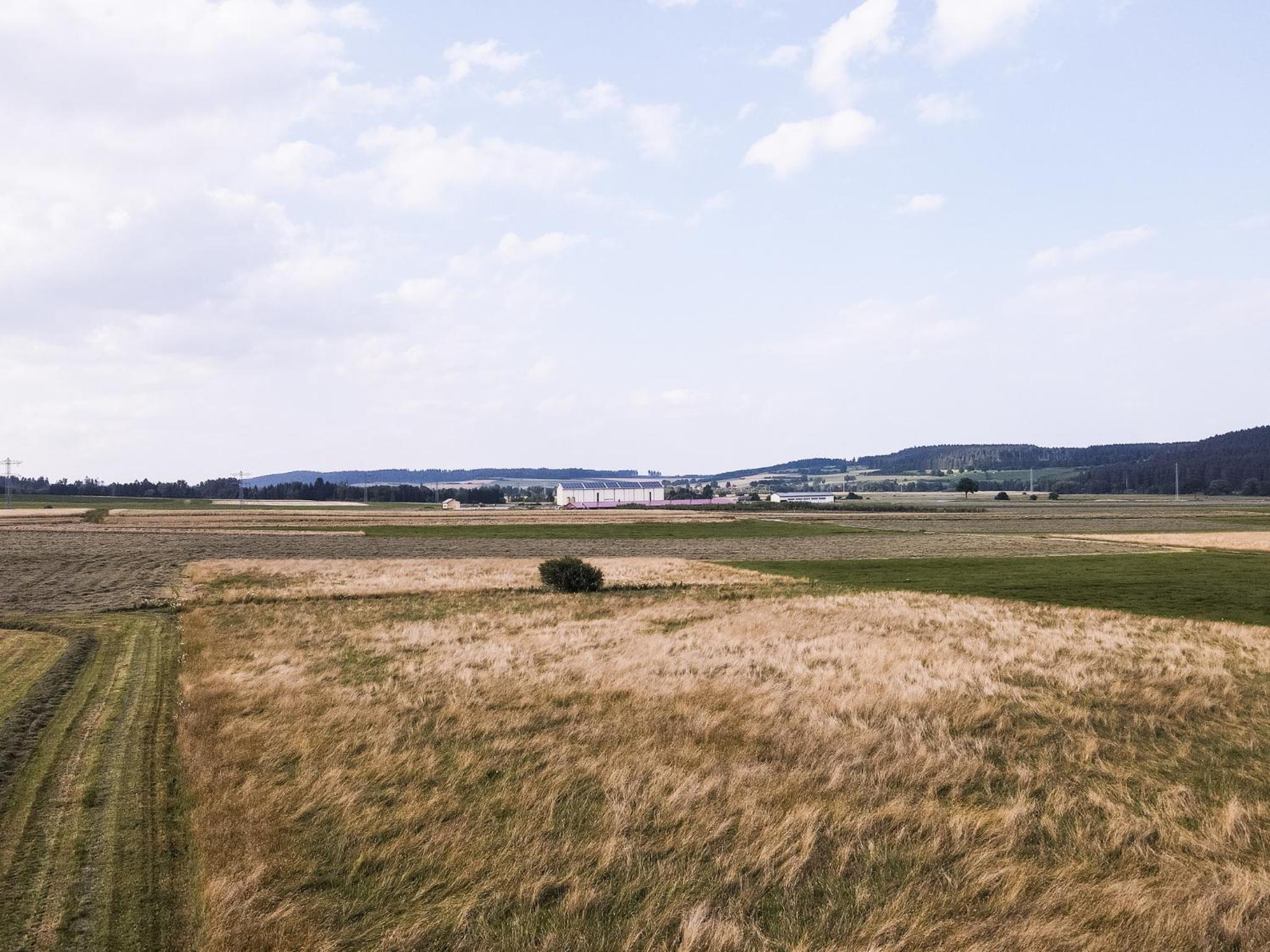 Ferienwohnung Waldblick - a75529