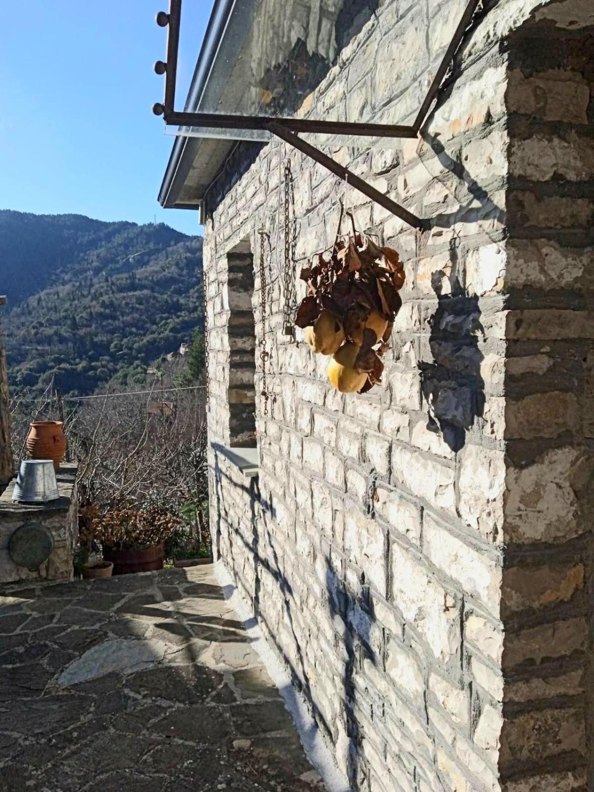 Alexadras Guesthouse view 4