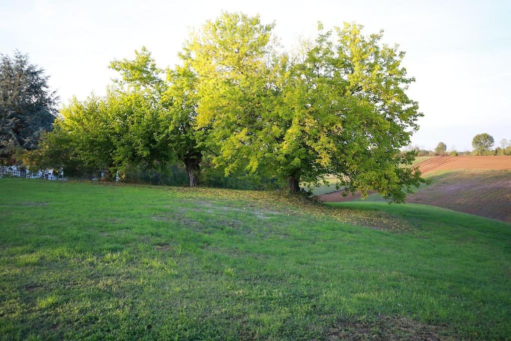 Villa Beatrice