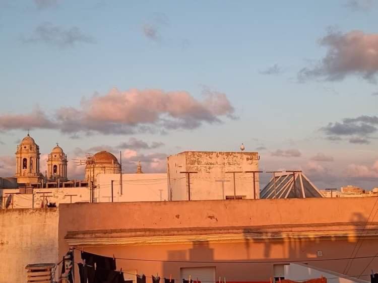 roof