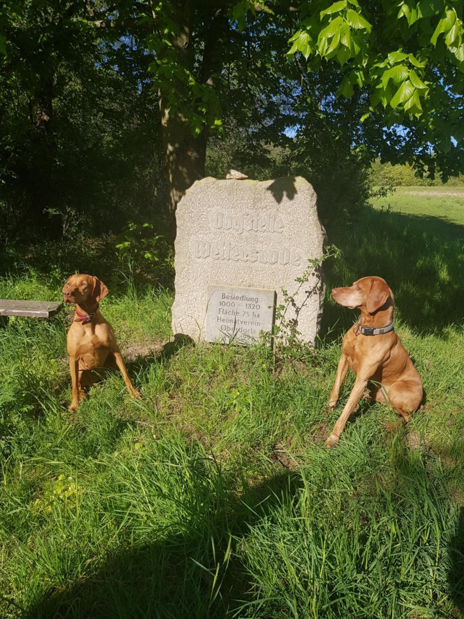Ferienhäuser Oberdorla