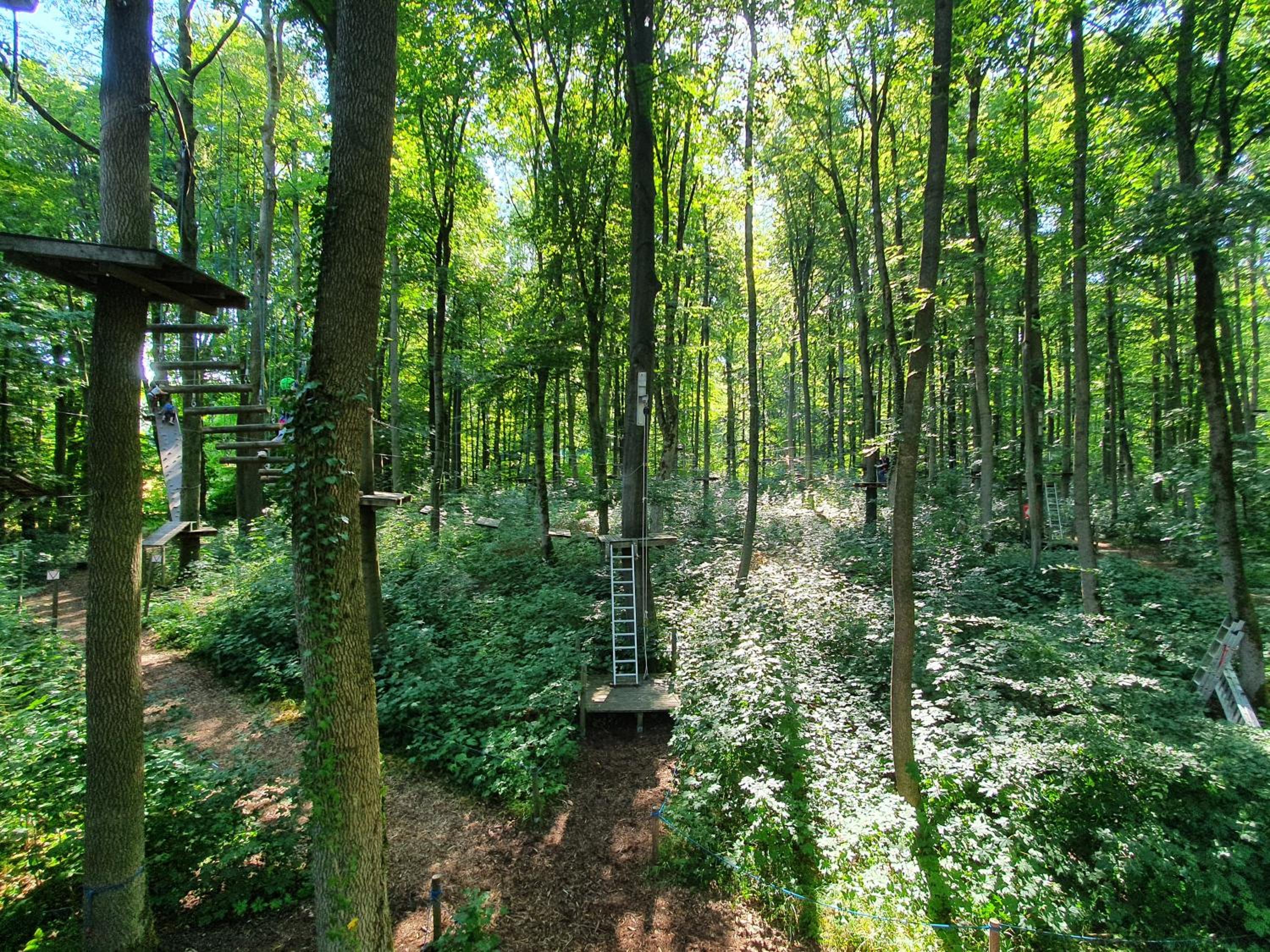 Ferienhäuser Oberdorla
