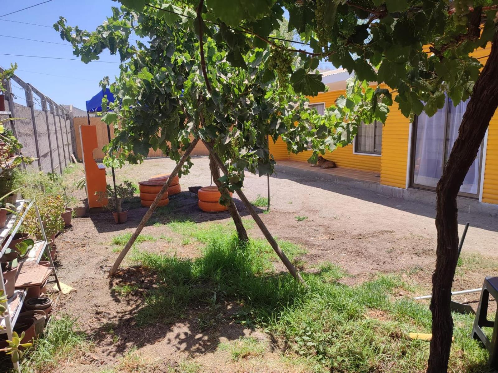 Granja Vip Valle de Elqui