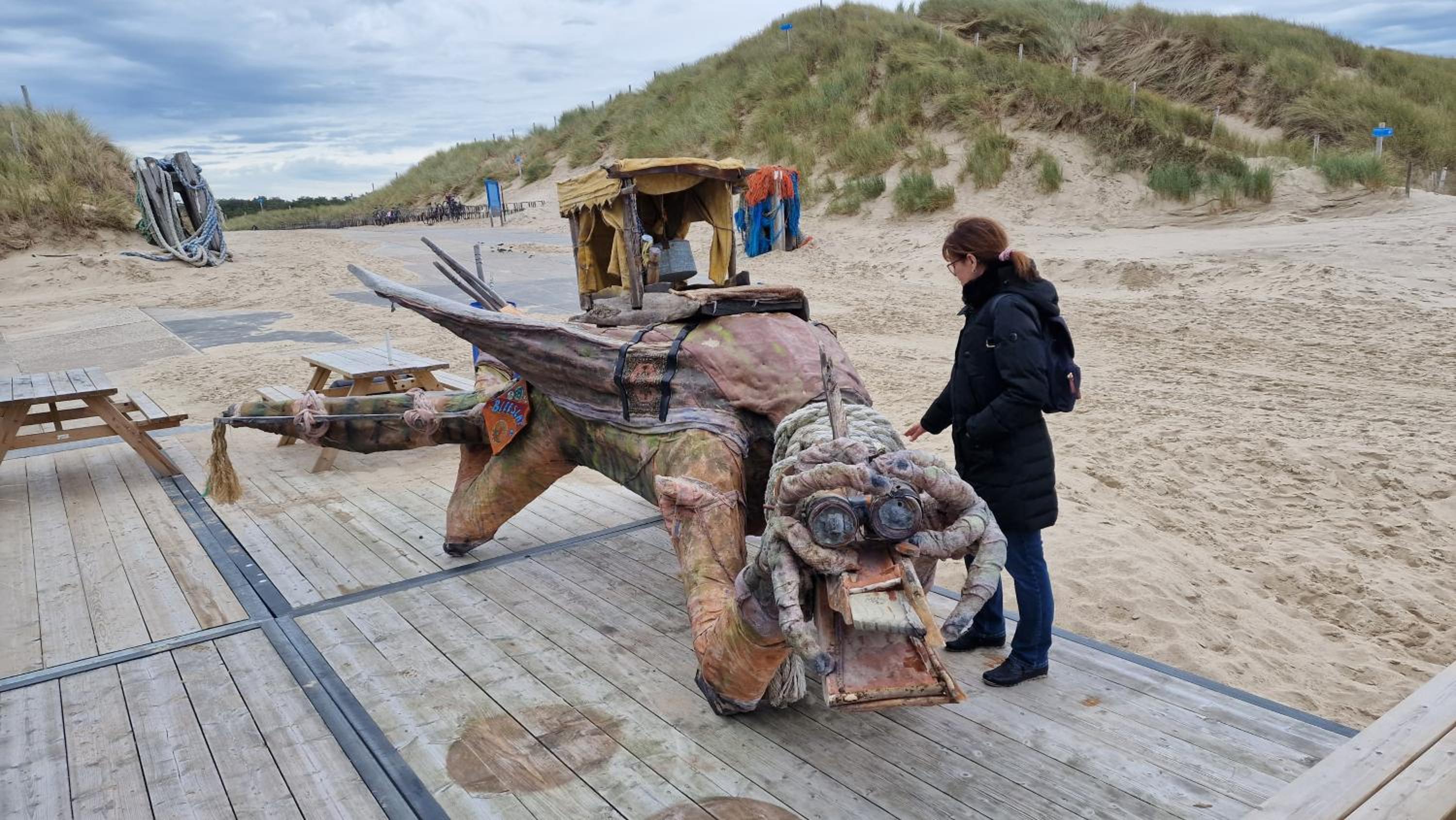 Photo 54