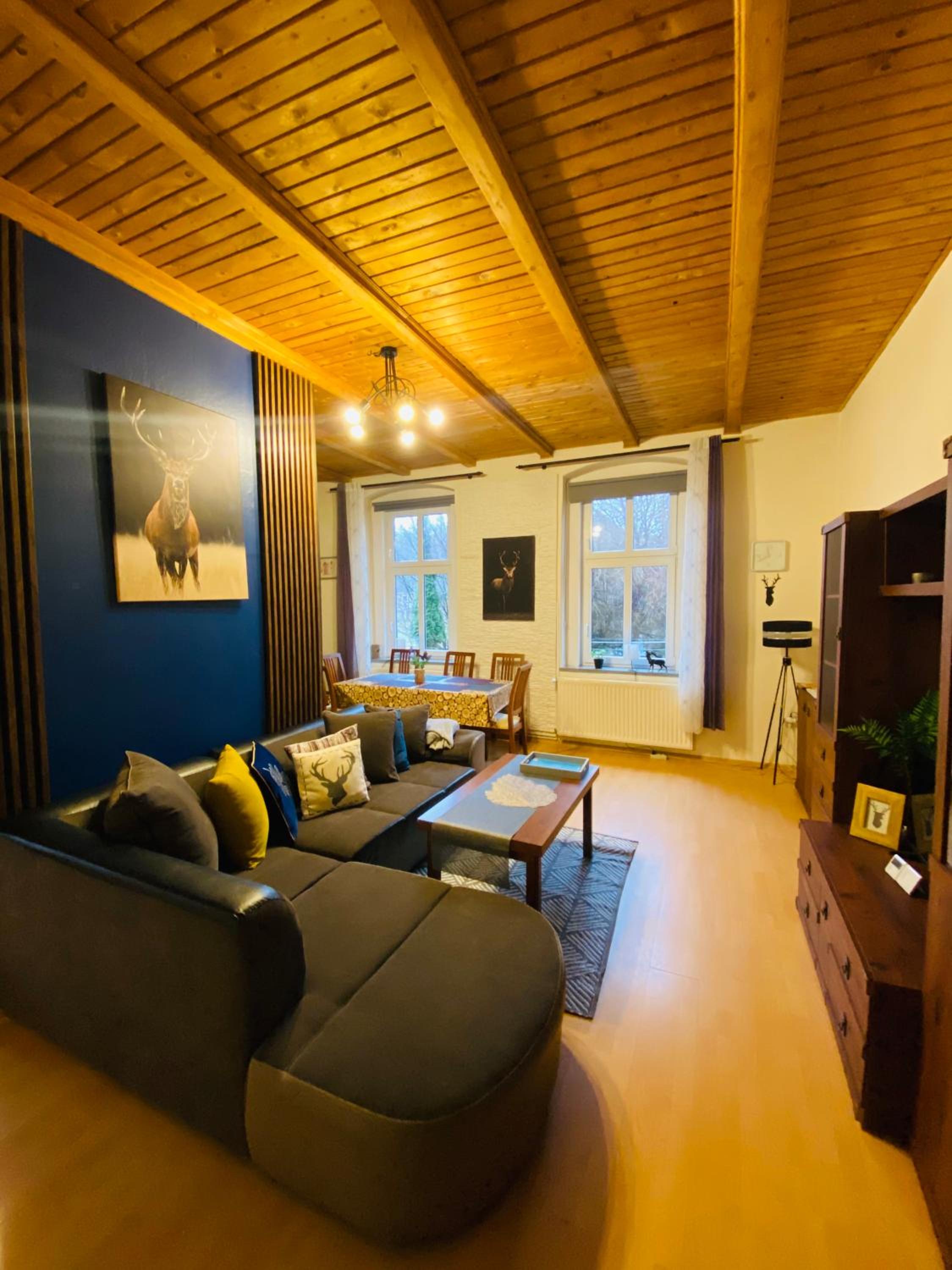 Apartament Górski 90m2 blisko centrum i wyciagu view 5