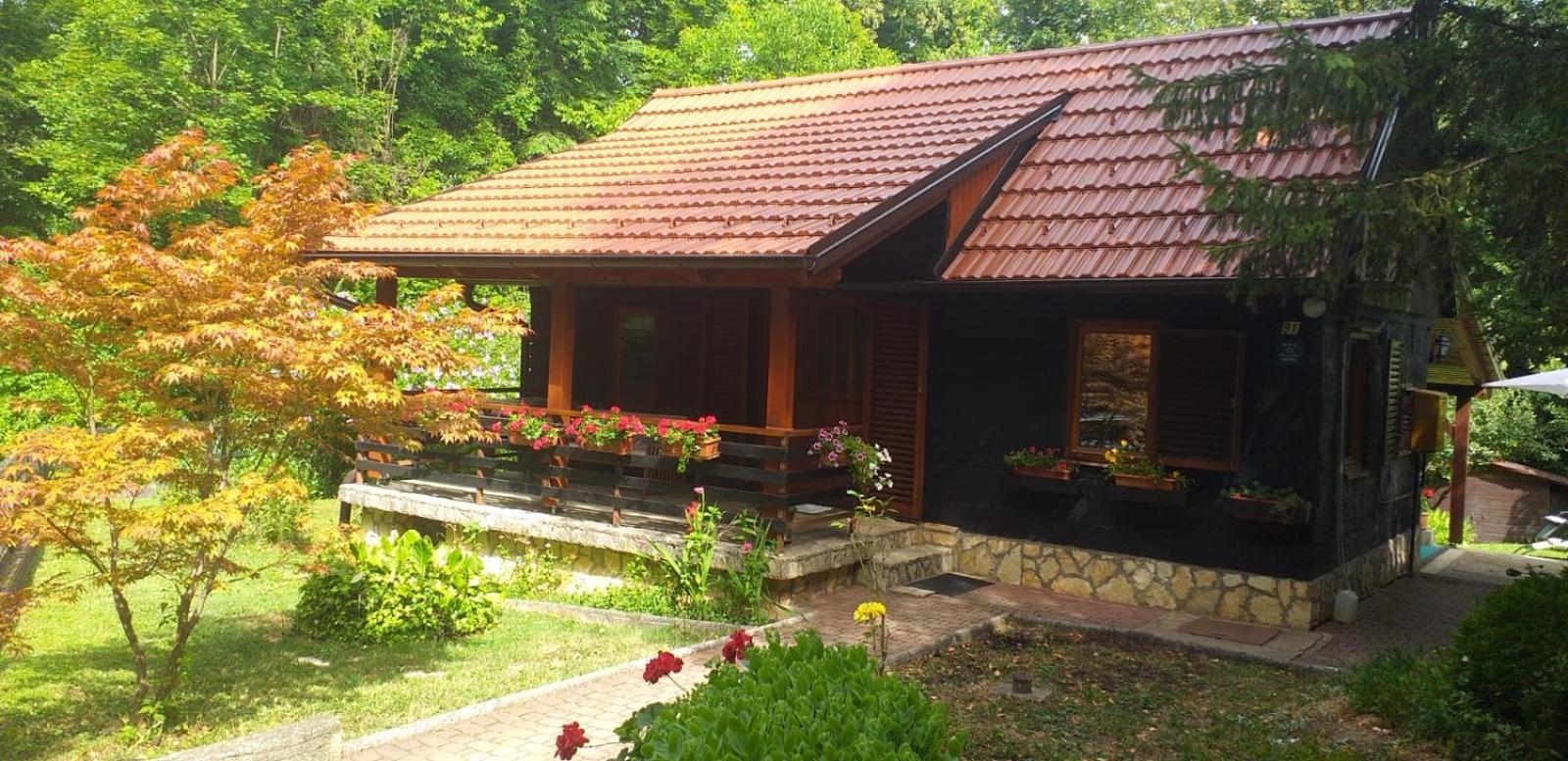 Cabin In The Woods Vukelic view 3