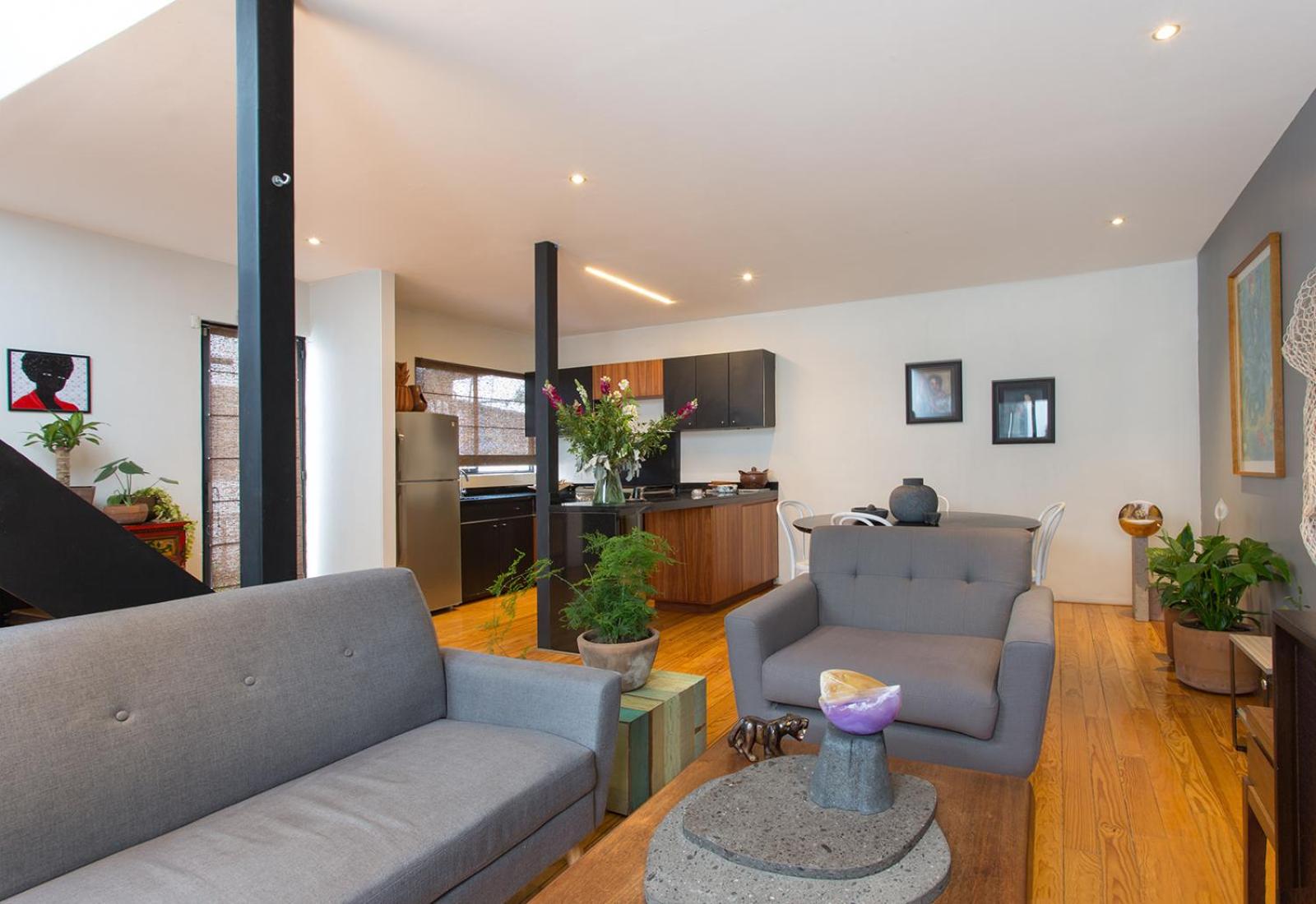 Unique 2bedroom PH — Mexico City