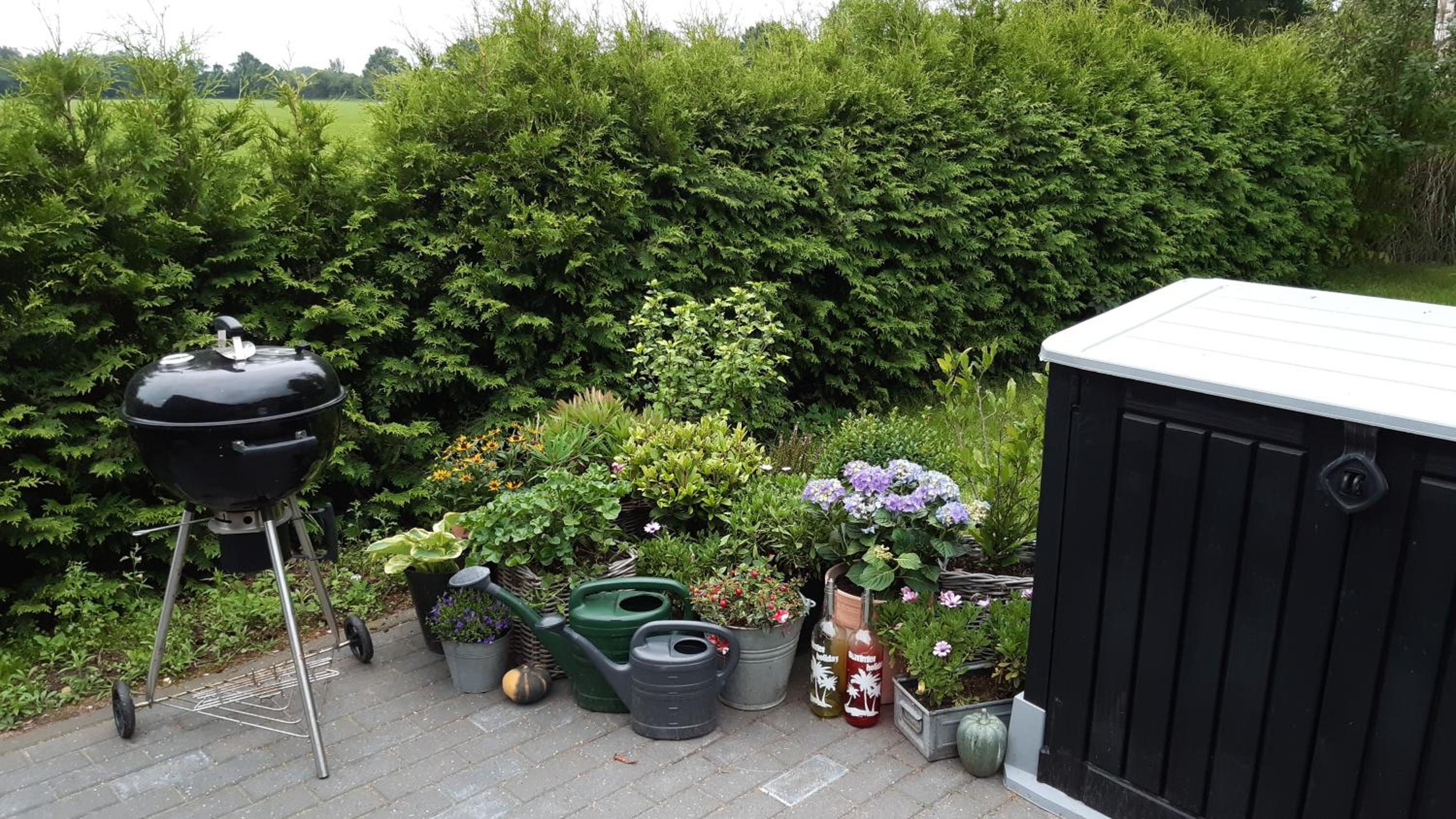 Vakantiewoning De Klaproos view 2