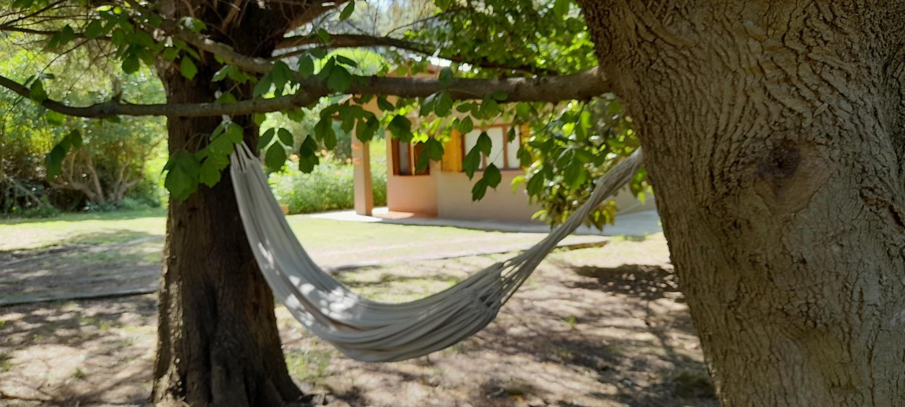 La Sureña