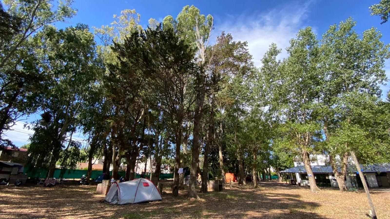 El Viejo Molino