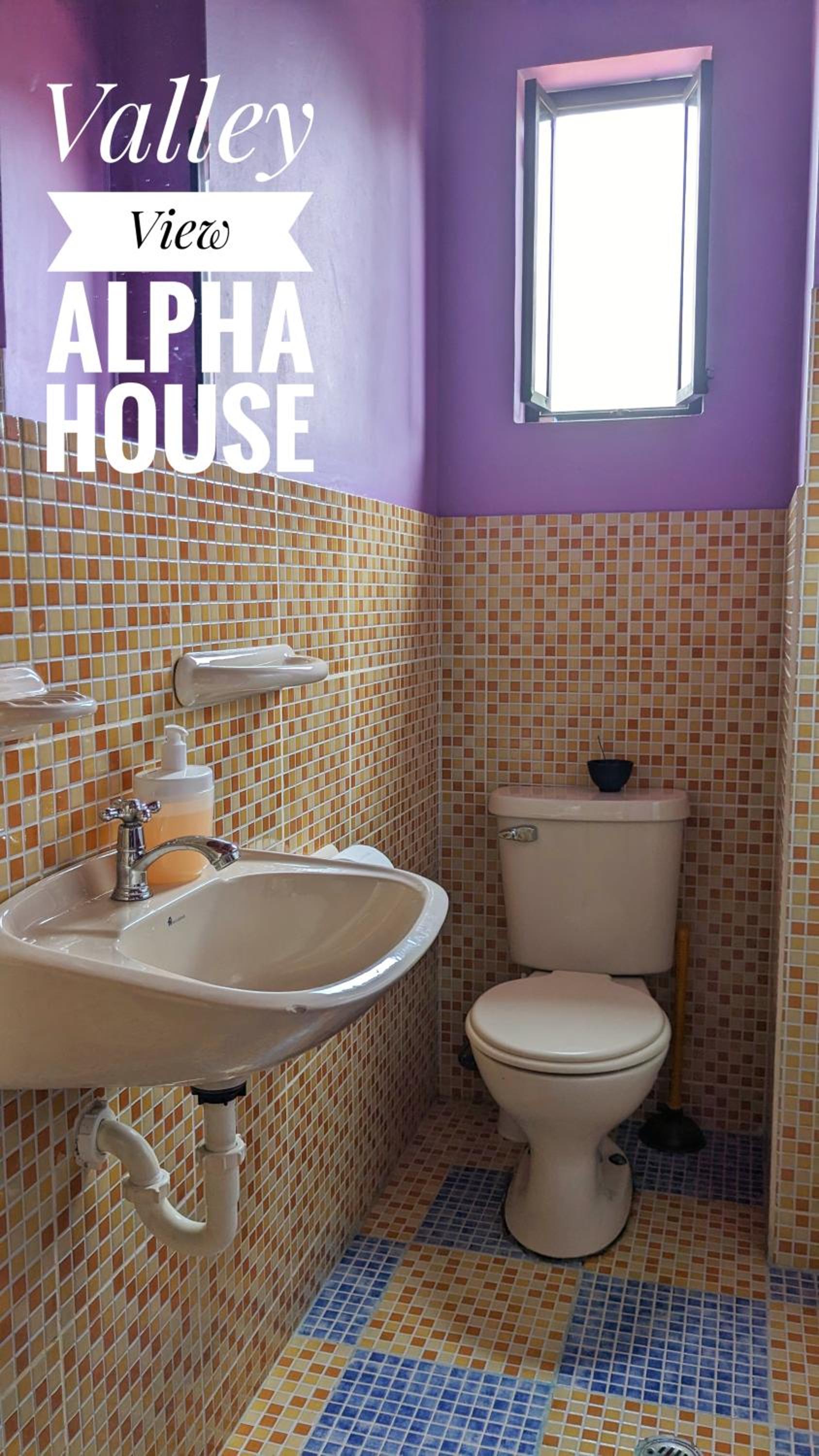Alpha House view 2