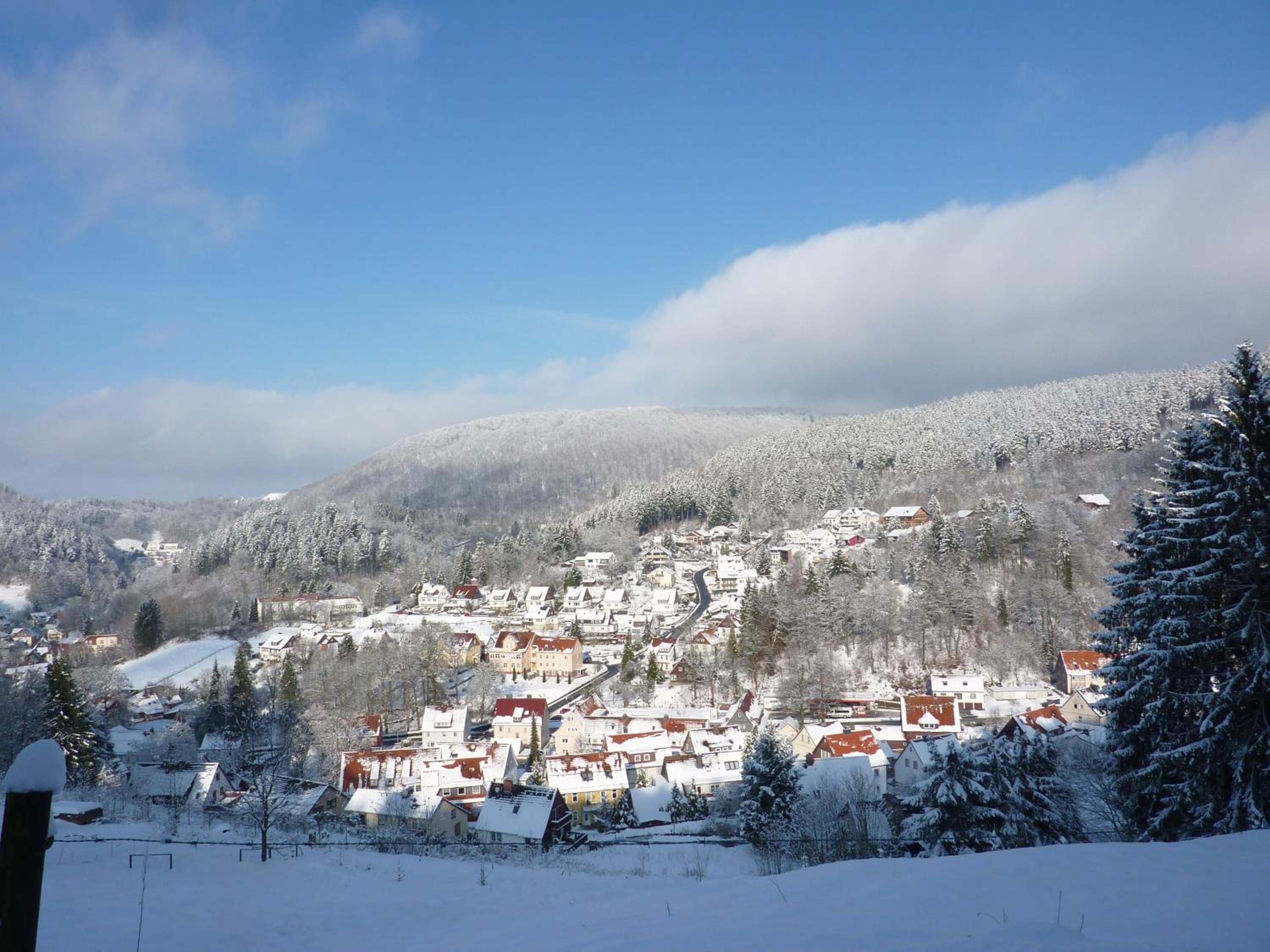 Pension Rheingold Garni