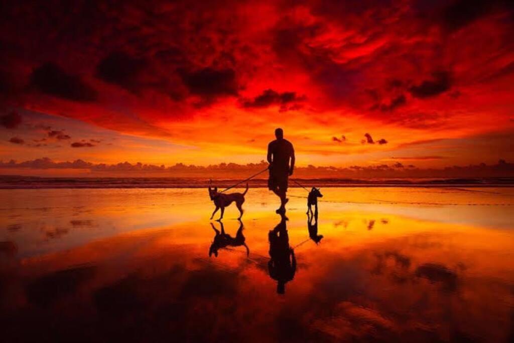 human