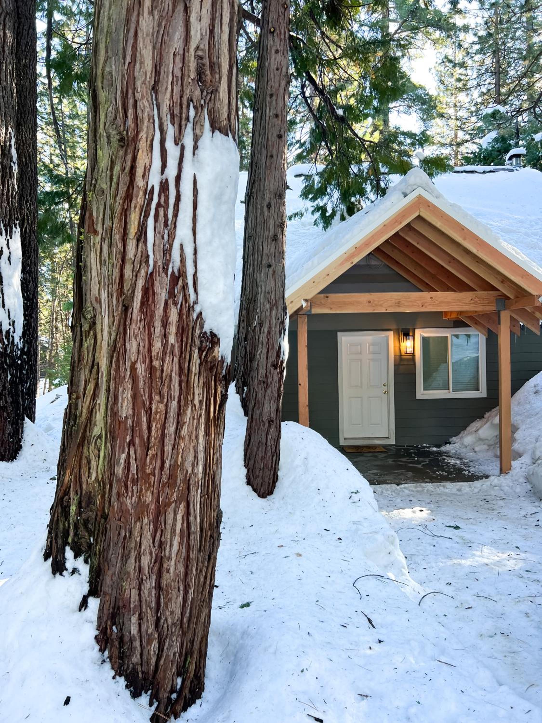 Grass Valley Vacations - Cozy Cabin w/ Hot tub - Property Image 1