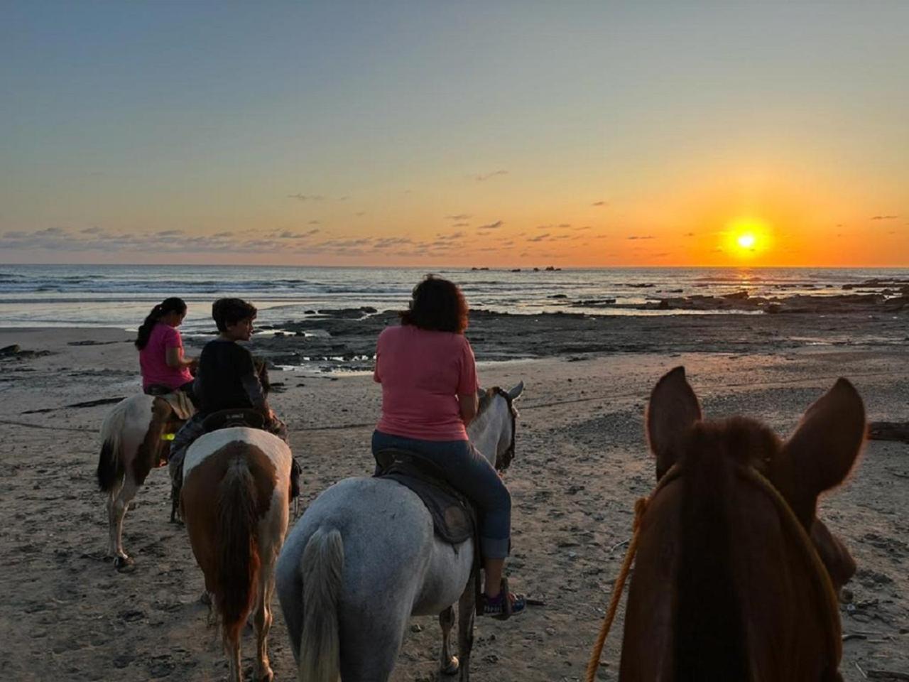 Casa Vitality Bed and Breakfast - Playa Guiones, Nosara - 4 Minute Walk to the Beach