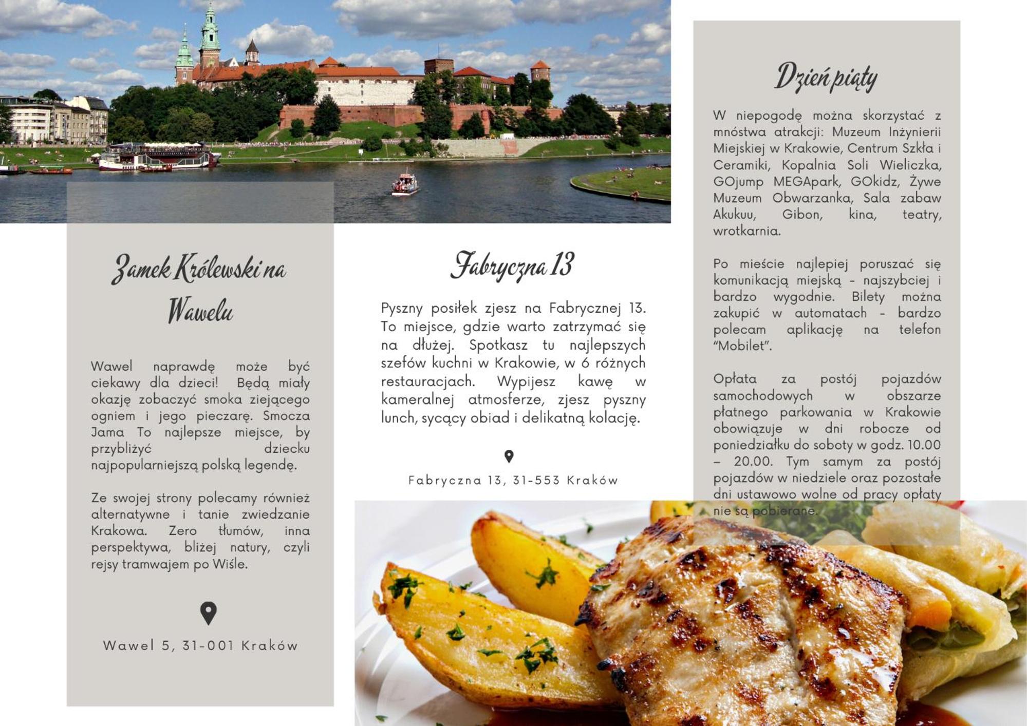 ap4you Tauron Cracow