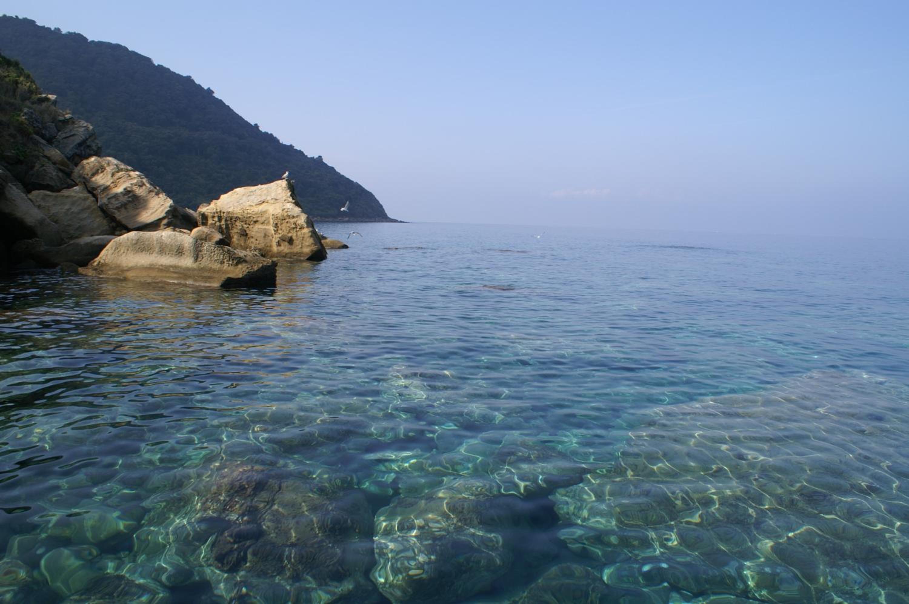 B&B Il Girasole