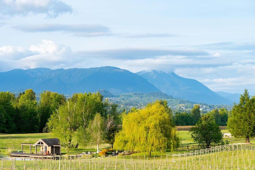 Season Premiere Winery-Bed & Breakfast in vineyard