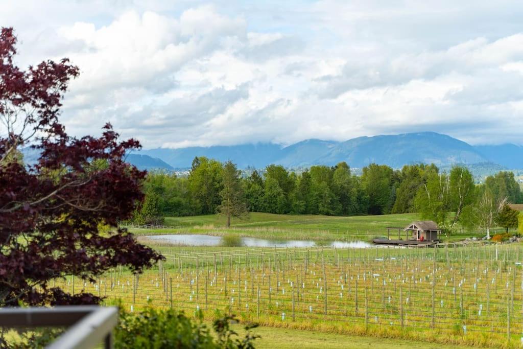 Season Premiere Winery-Bed & Breakfast in vineyard