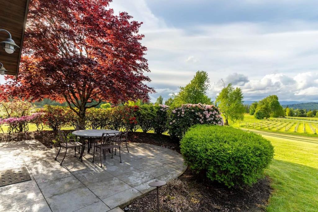 Season Premiere Winery-Bed & Breakfast in vineyard