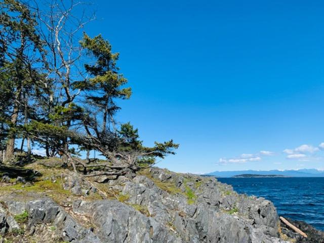 A Cozy Family get away suite in South Nanaimo