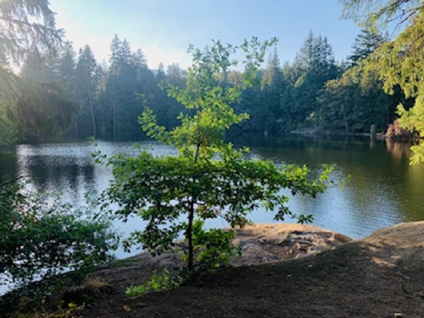 A Cozy Family get away suite in South Nanaimo