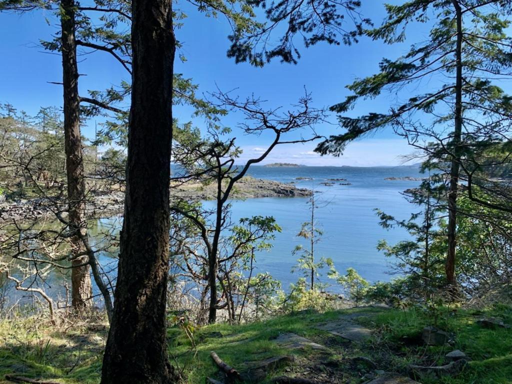 A Cozy Family get away suite in South Nanaimo