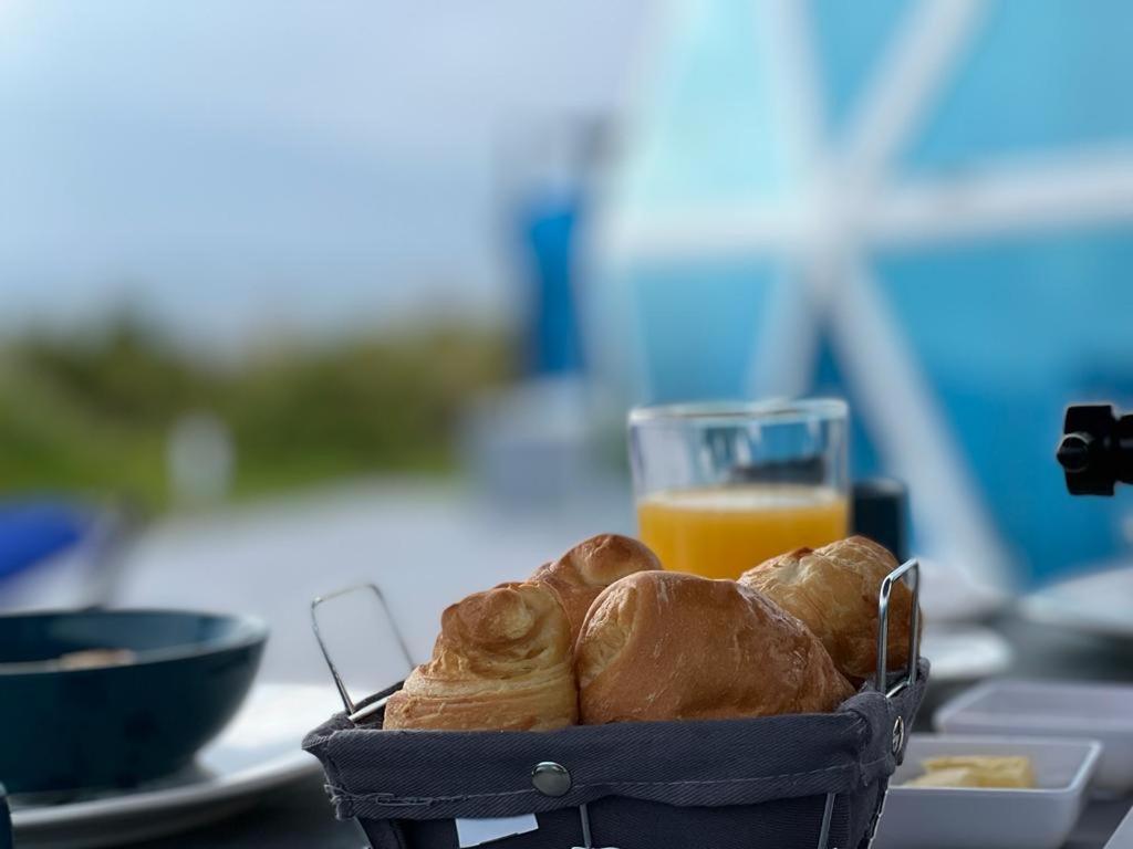 Monarca Azul Glamping