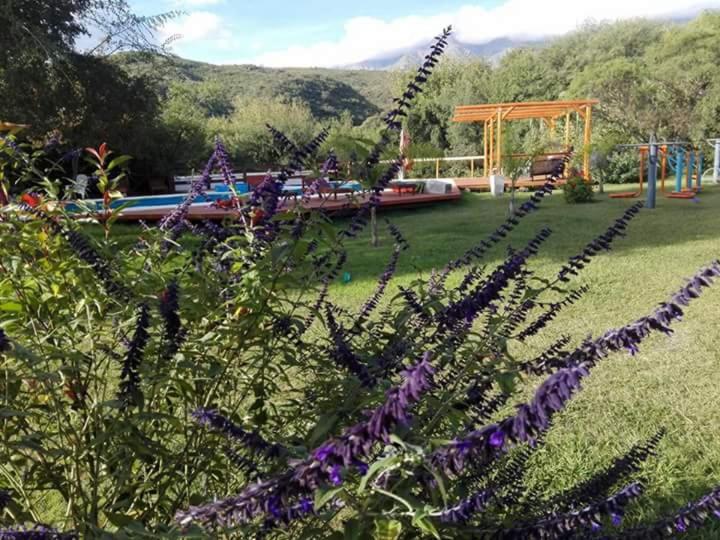 Complejo Mirador de las Sierras pileta climatizada al aire libre